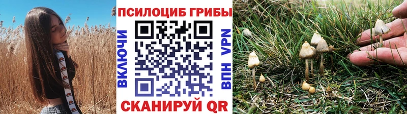 Галлюциногенные грибы Magic Shrooms  Тайшет 